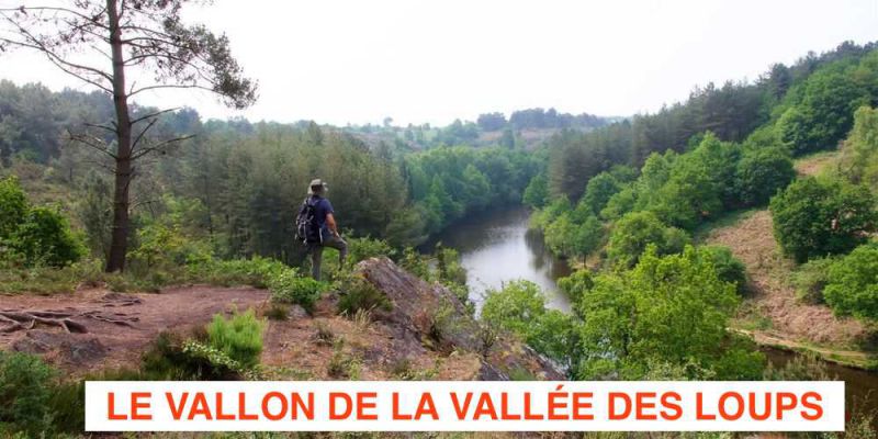 Situé au Nord-Est de la Forêt de Brocéliande, et à deux pas du Lac de Trémelin, le vallon de la Chambre au Loup est une vallée encaissée qui traverse un espace naturel de 70 hectares de landes boisées. Les locaux l’appellent le « Grand Canyon » breton.